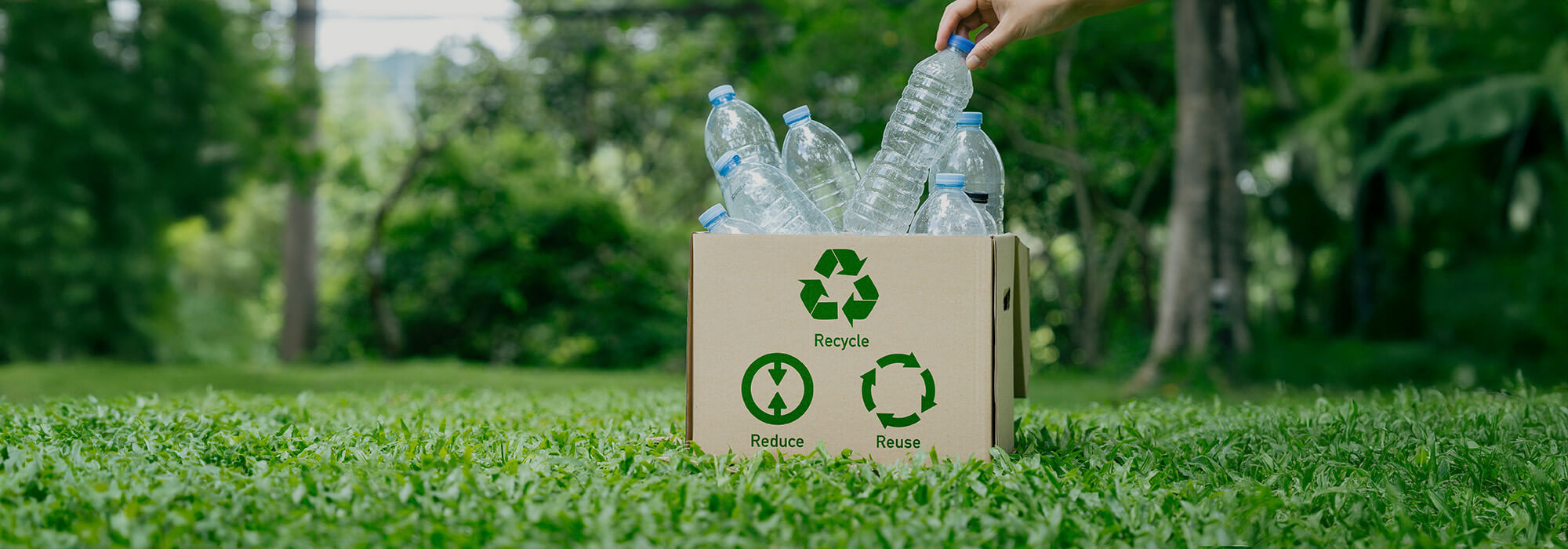 A park image with green grass, trees and hedges. There is an eco-friendly box labeled with 'recycle', 'reduce' and 'reuse'. Inside the box are recycled water bottles.  