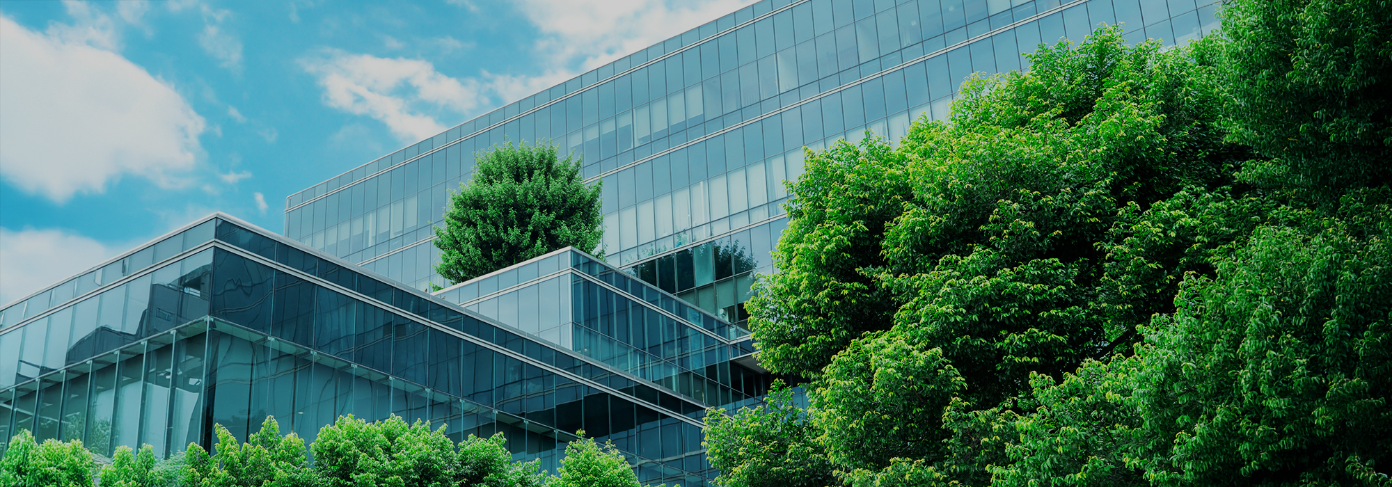 Modern glass office building surrounded by lush green trees showcasing sustainable architecture and corporate environmental commitment to greener future